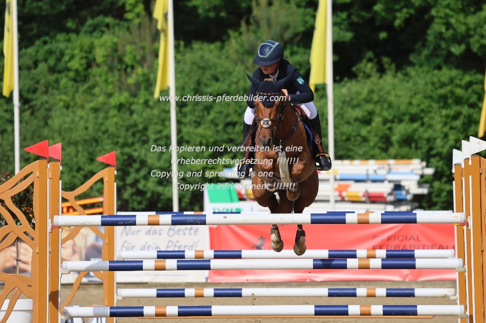 Preview hannah blandfort mit karim van orchid s IMG_2304.jpg
